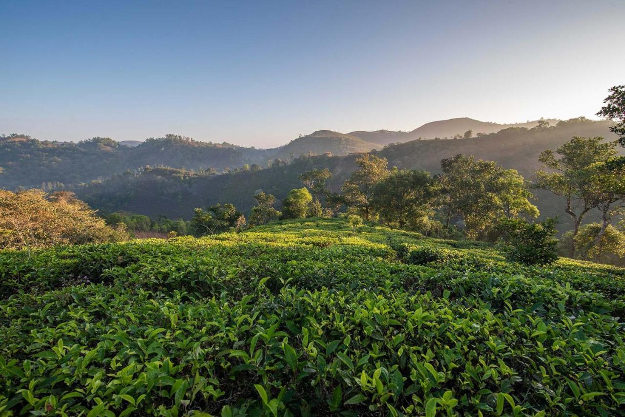 Vaga Roville- Tea Plantation Valley View By Stayvista Vagamon Exterior photo